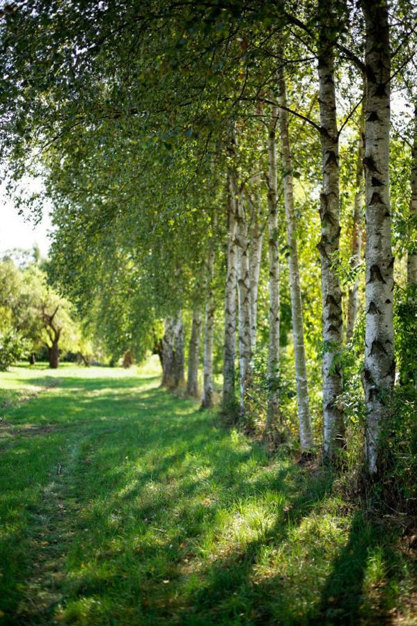 Obere Muehle - Scheunenwohnung Mitten Im Gruenen Baunach Extérieur photo