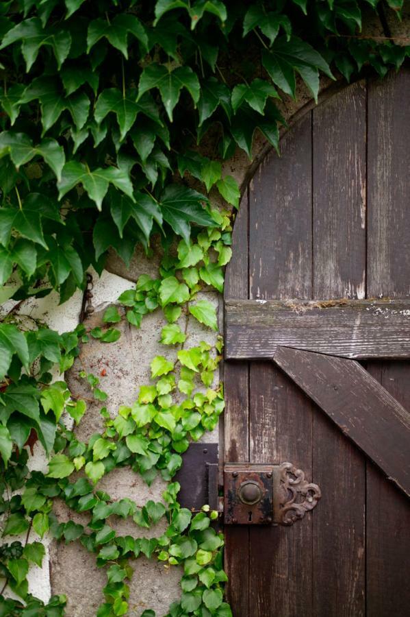 Obere Muehle - Scheunenwohnung Mitten Im Gruenen Baunach Extérieur photo